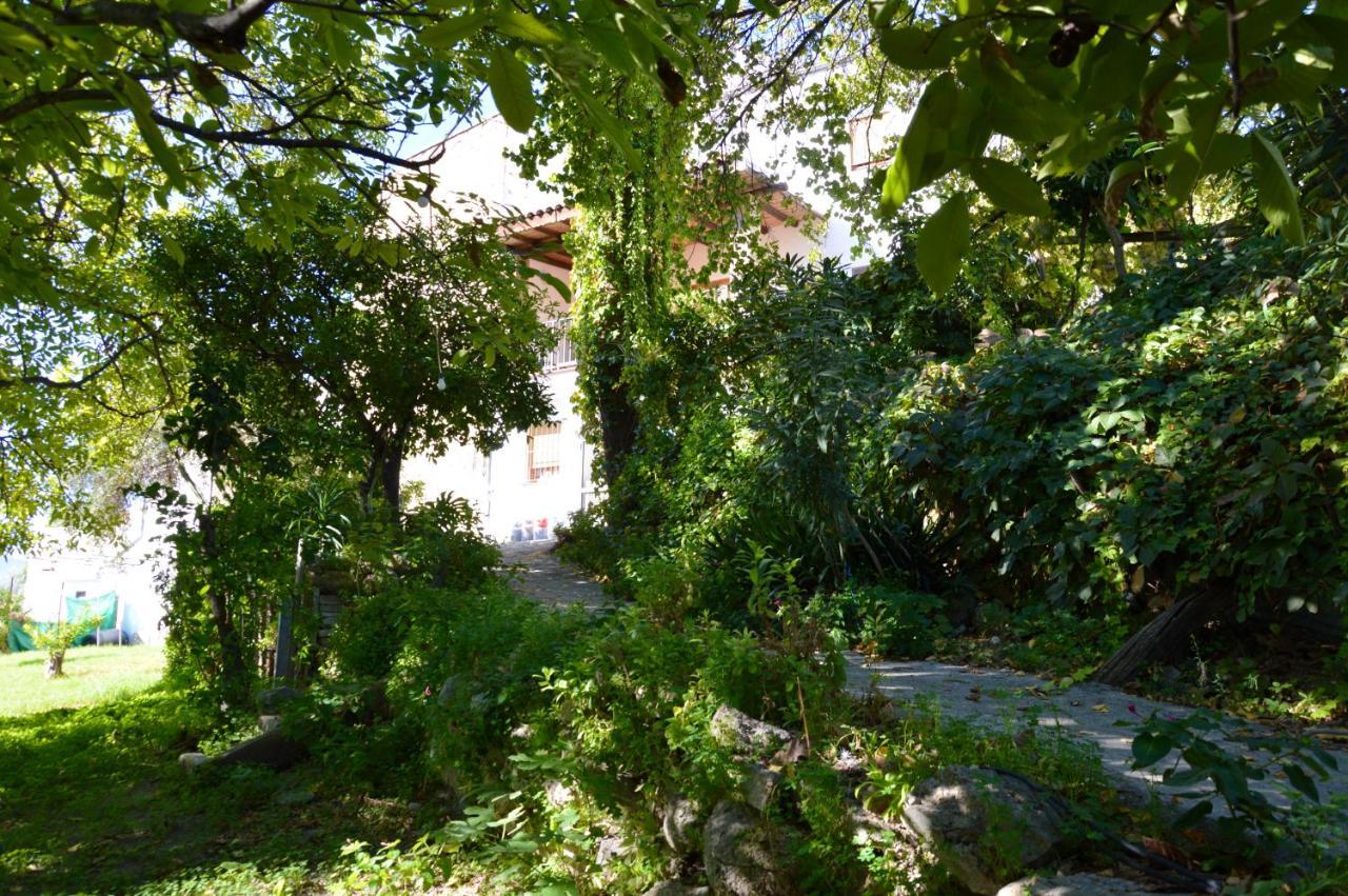 Ecoalbergue Rural De Альгодоналес Екстер'єр фото